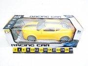 AUTO R C RACING CAR 1:16 8263